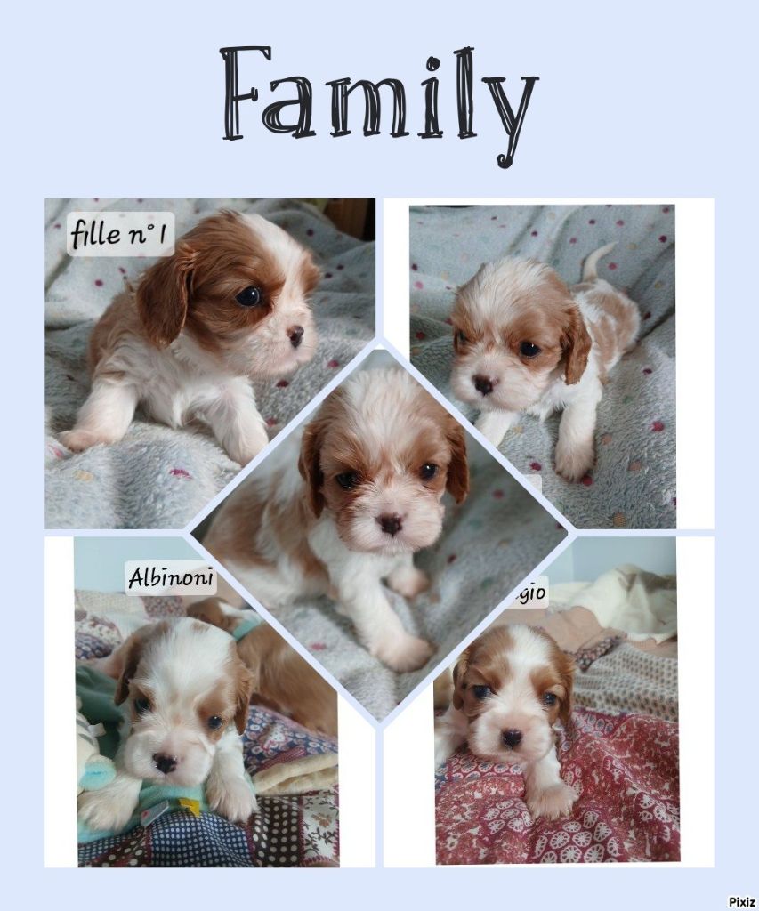 Jolis bébé disponibles à la réservation 