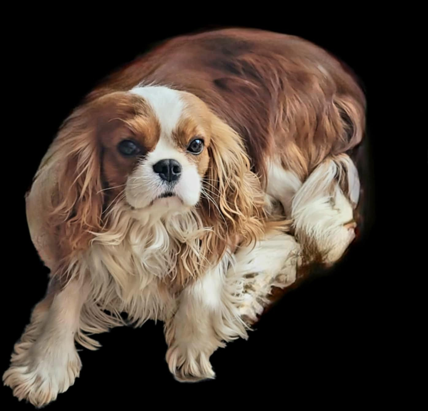 Mon dernier coup de coeur