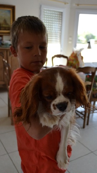 Nos bébinous dans leur nouvelle famille