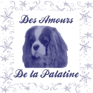 Des Amours De La Palatine